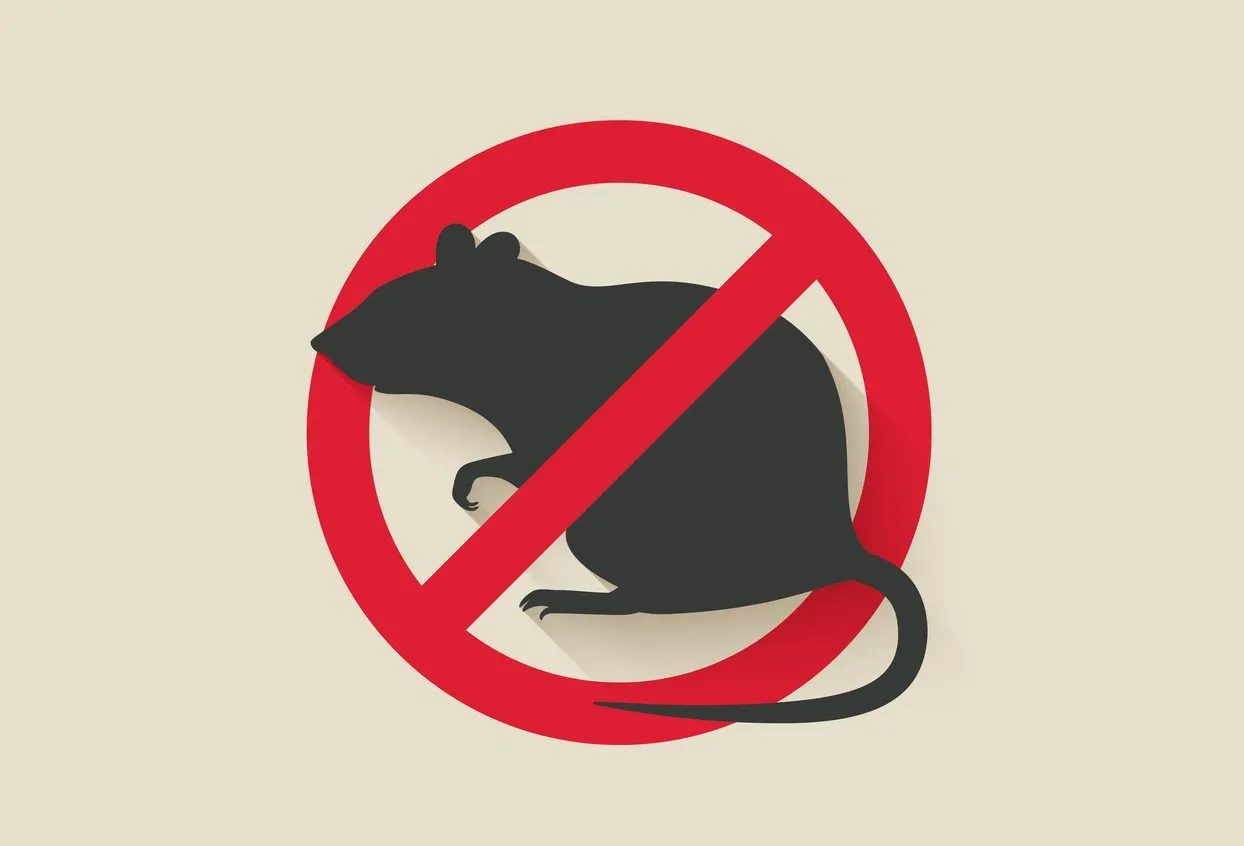 Rodent Control in Appleton