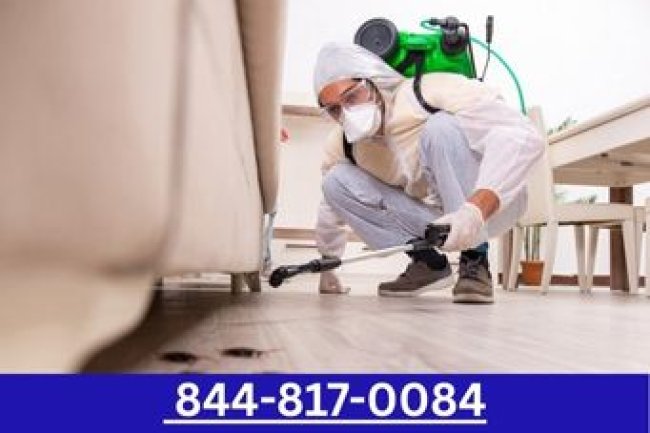 Pest Control in Bloomfield CT