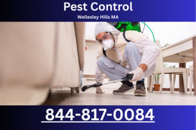 Pest Control in Wellesley Hills MA