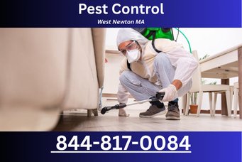 Pest Control in West Newton MA
